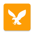 小黄鸟抓包软件最新版 V3.3.6 安卓版