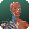 万康人体解剖 V3.1.1 安卓版