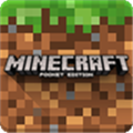 我的世界Minecraft V1.17.1 官方正式版