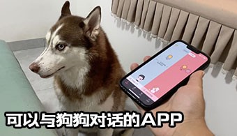 可以与狗狗对话的app