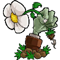 植物大战僵尸LZ重制版PC版 V1.3.5.0 最新免费版
