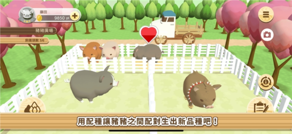 养猪场3d游戏最新版本