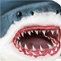鲨鱼模拟器 V1.1 安卓版