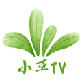 小草TV电视直播软件 V6.8 安卓版