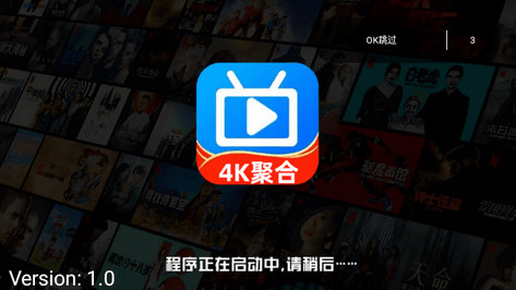 4K聚合app电视版下载
