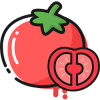番茄轻断食 V1.0.5 安卓版