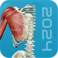 3D肌肉解剖app V1.1 安卓版