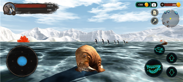 海狮模拟器