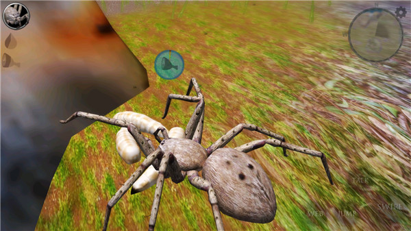 终极蜘蛛模拟器2